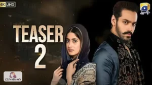 Ishq Tm Sa Drama Cast