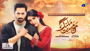 Mann Mast Malang Drama Cast