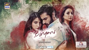 Biryani Drama Cast