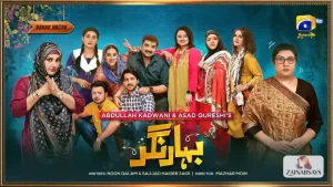 Bahar Nagar Drama Cast