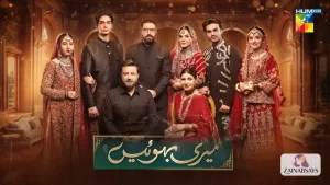 Meri Bahuain Drama Cast
