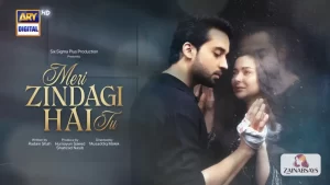 Meri Zindagi Hai Tu Drama Cast