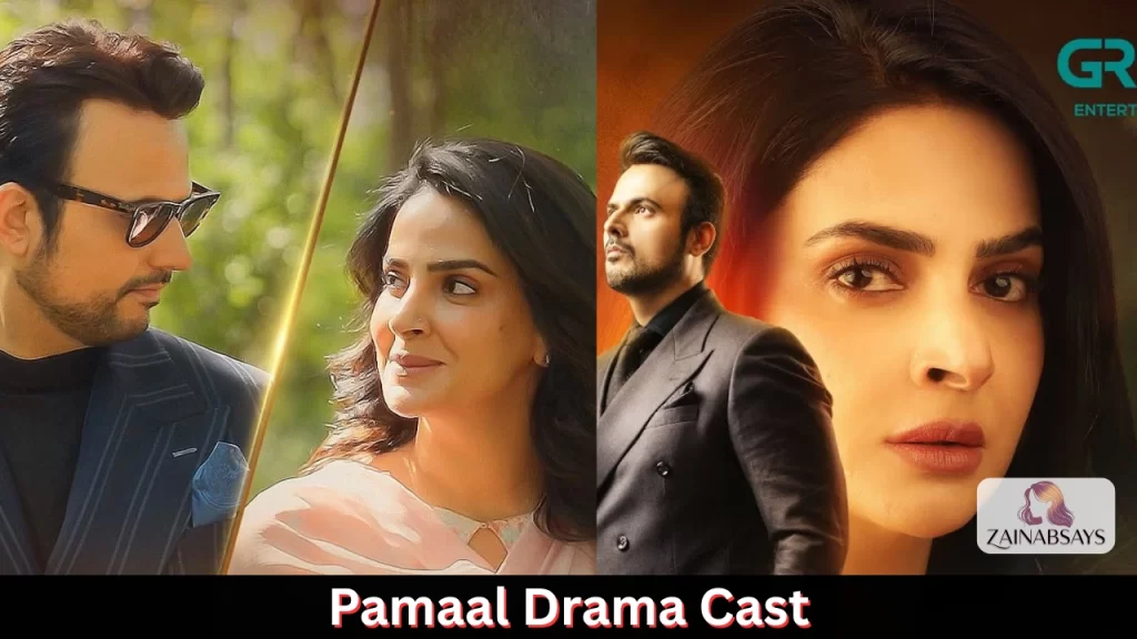 Pamaal Drama Main Cast