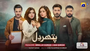 Pathar Dil Drama Cast